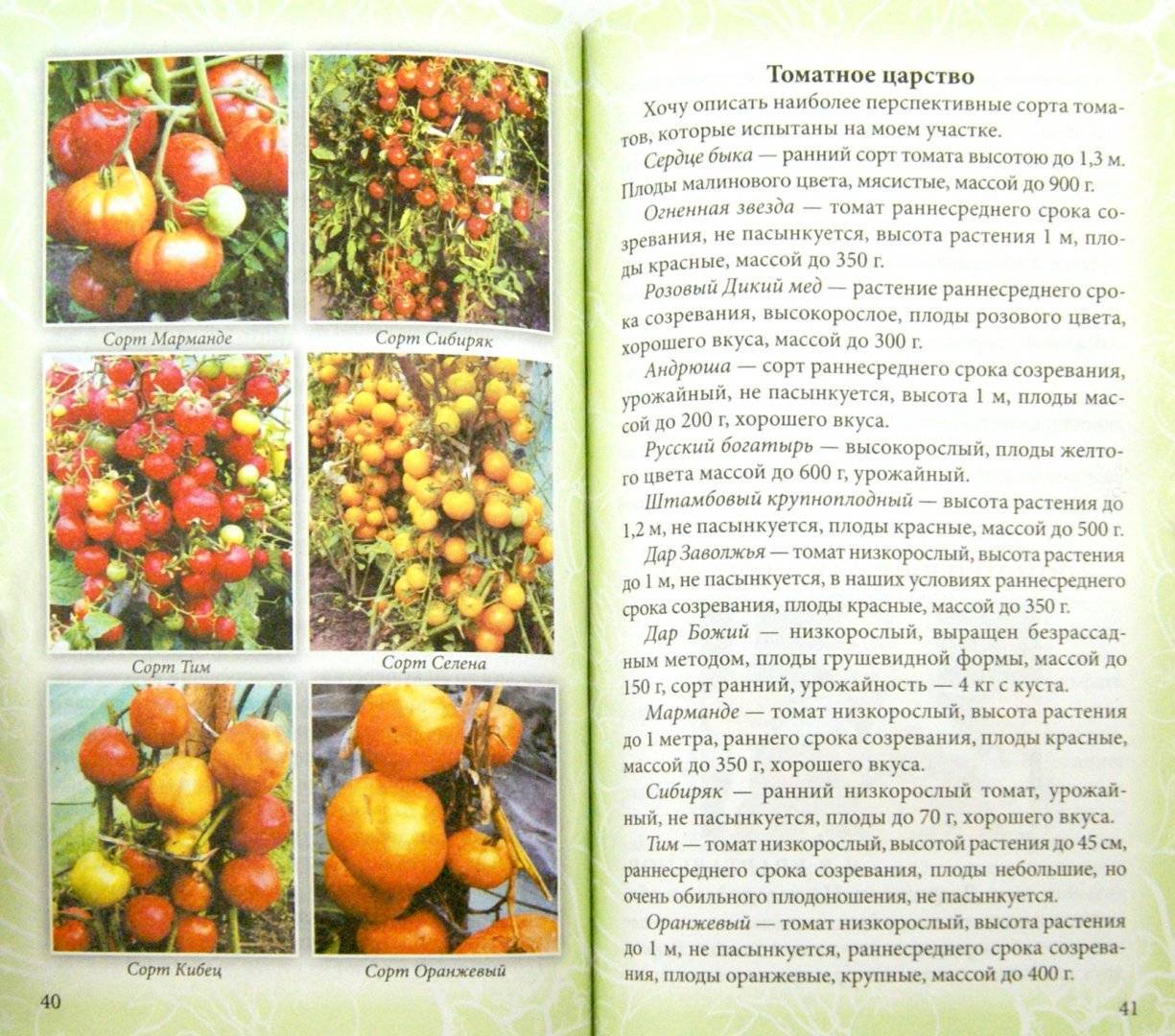 ✅ томат соседская зависть описание сорта фото отзывы - питомник46.рф