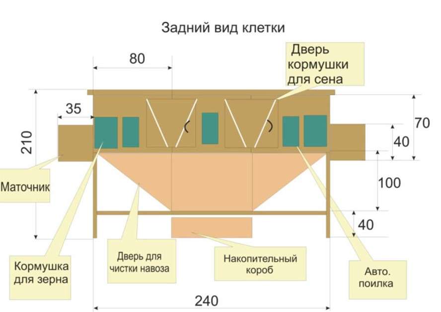 Клетки для кроликов своими руками двухъярусные с маточником своими руками чертежи и размеры