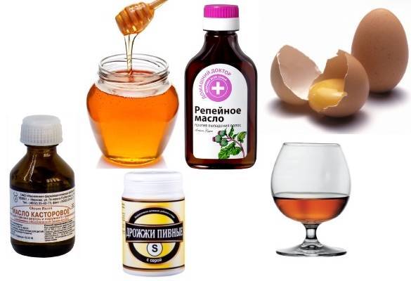 Маска для волос с медом и яйцом: рецепты и приготовление