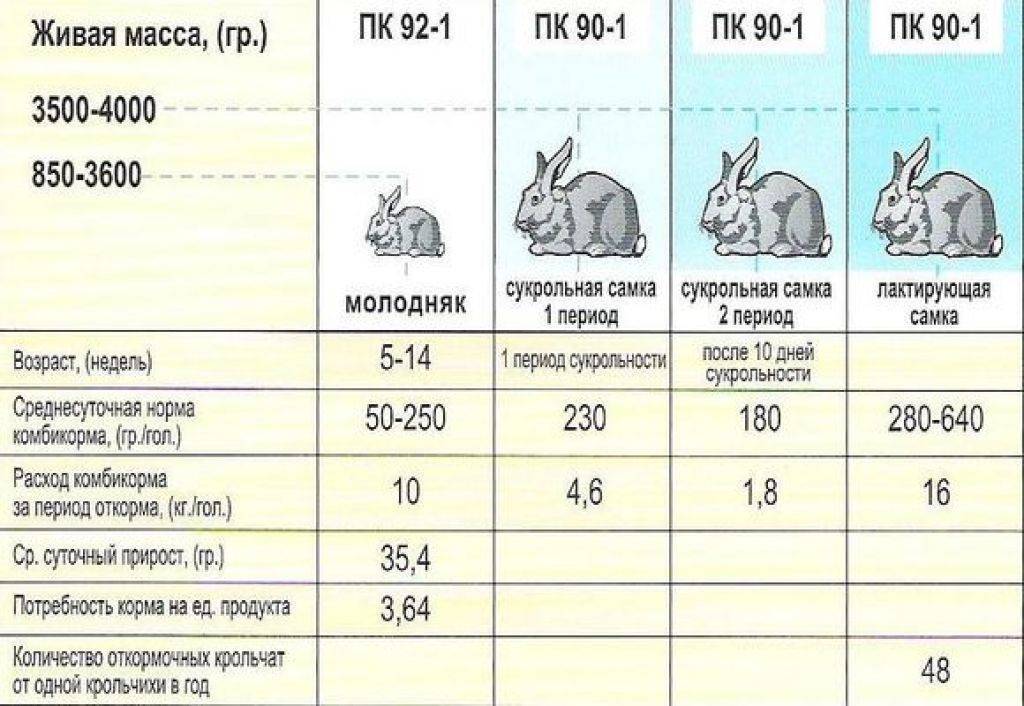 Комбикорм для кроликов — обзор кормов и рецепты для изготовления своими руками