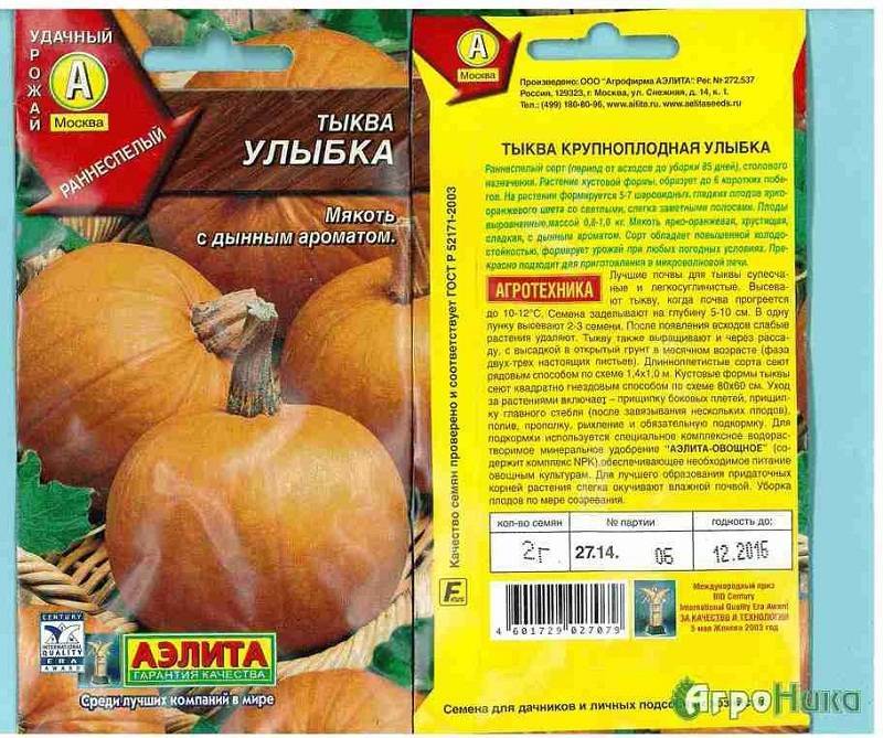 ᐉ мраморная тыква: характеристики сорта, фото, выращивание и отзывы - zookovcheg.ru