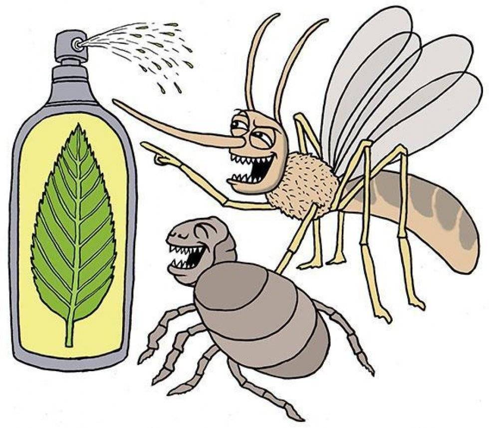 Вредители пчел – птицы, мыши, муравьи и т. д. как бороться с врагами пчел на пасеке
