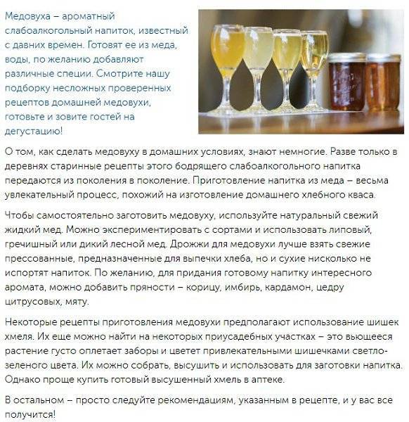 Как сделать медовуху в домашних условиях: рецепты и советы :: syl.ru