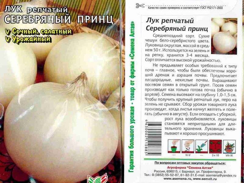 Описание лука кармен мс, выращивание из семян