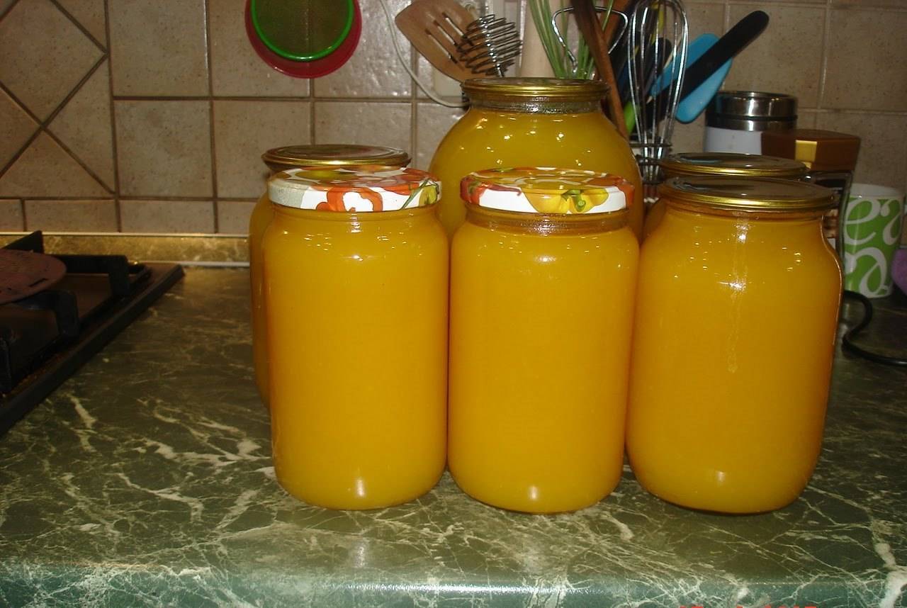 Сок из апельсинов в домашних условиях, рецепты полезных напитков