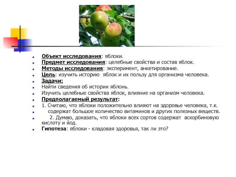 Польза зеленых и красных яблок: свойства и химический состав — life-sup.ru