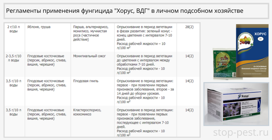 Скор препарат для обработки деревьев инструкция. Хорус ВДГ 2 гр. Хорус 1 гр инструкция по применению. Хорус препарат для обработки. Хорус пестицид.