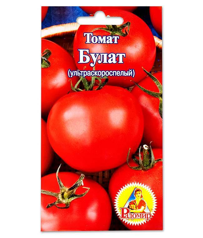 Характеристика ультрараннего гибридного томата Булат и агротехника выращивания сорта