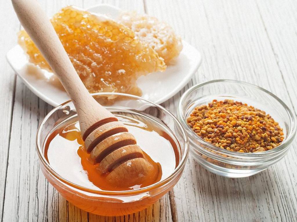 Мед с пергой - полезные свойства и противопоказания