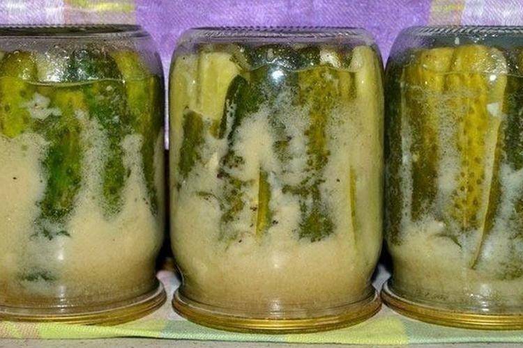 Маринованные огурцы с горчицей на зиму: самые вкусные рецепты, пошаговое приготовление, фото