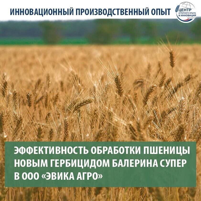 Гербицид | справочник пестициды.ru