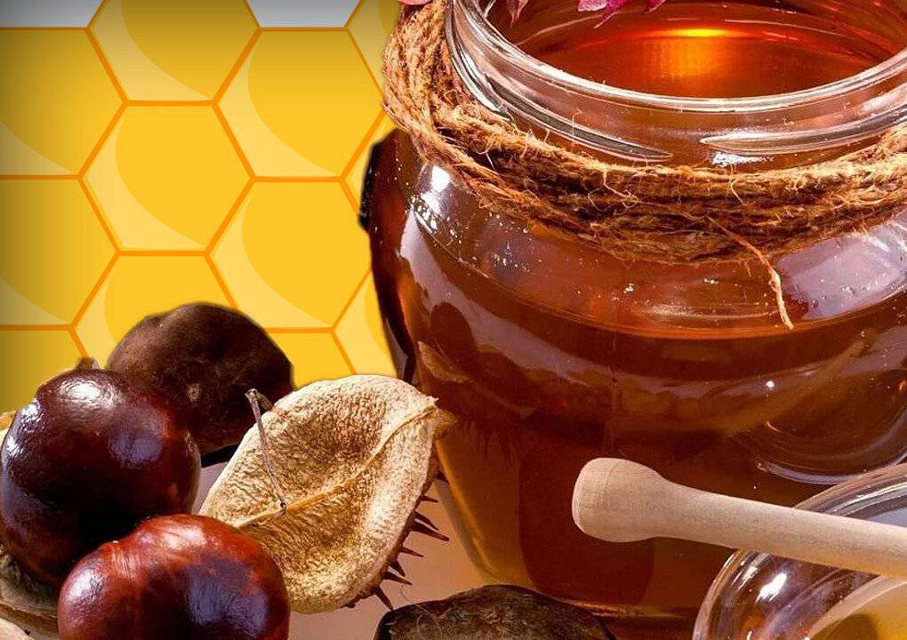 Каштановый мед — полезные свойства и противопоказания, как принимать?