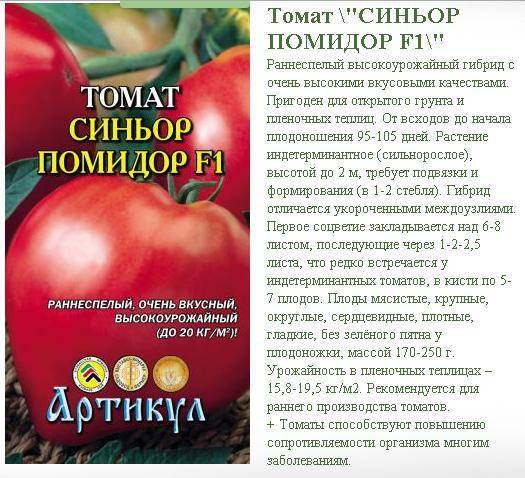 Описание сорта томата кинг-конг, особенности выращивания и ухода