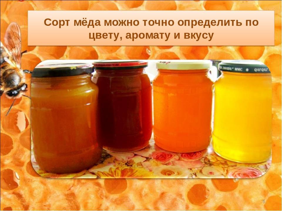 Натуральный мед – виды и особенности - pchela-info.ru