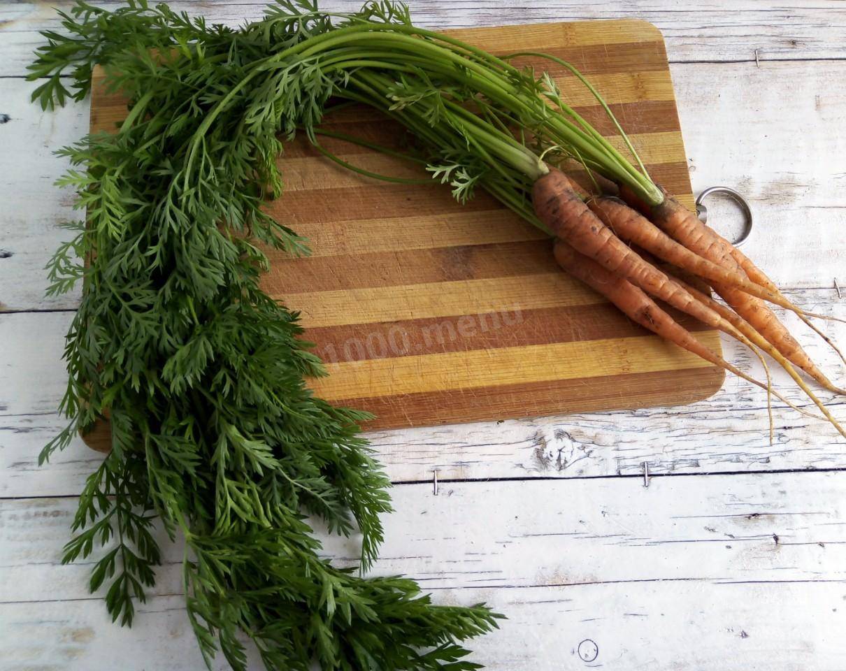 Чем полезна морковная ботва?