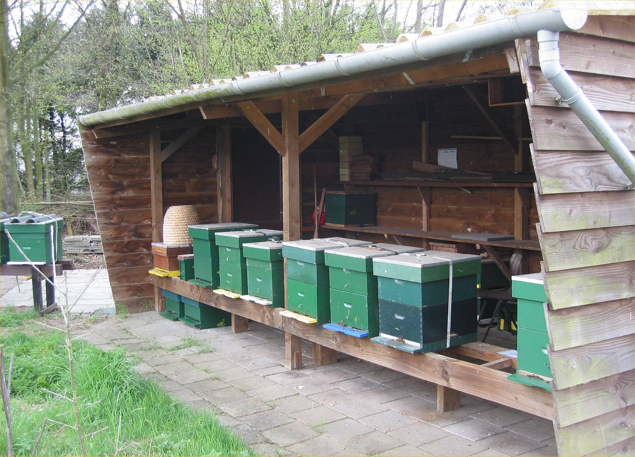 Размещение пасеки: ставим ульи в лесу и своем участке | пчеловодство