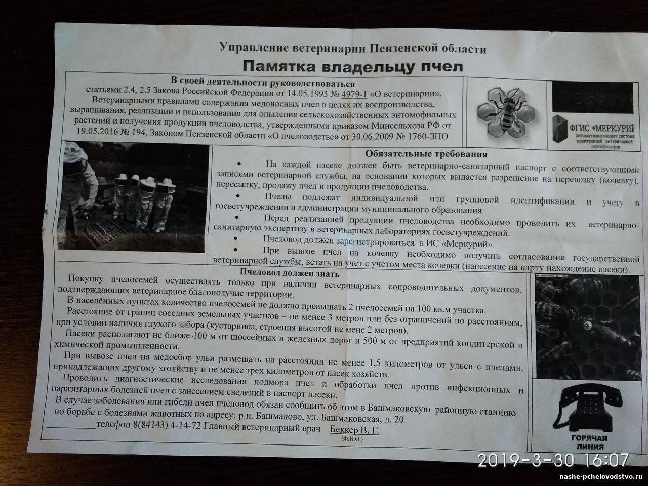 ᐉ закон о содержании пчел в населенном пункте - godacha.ru