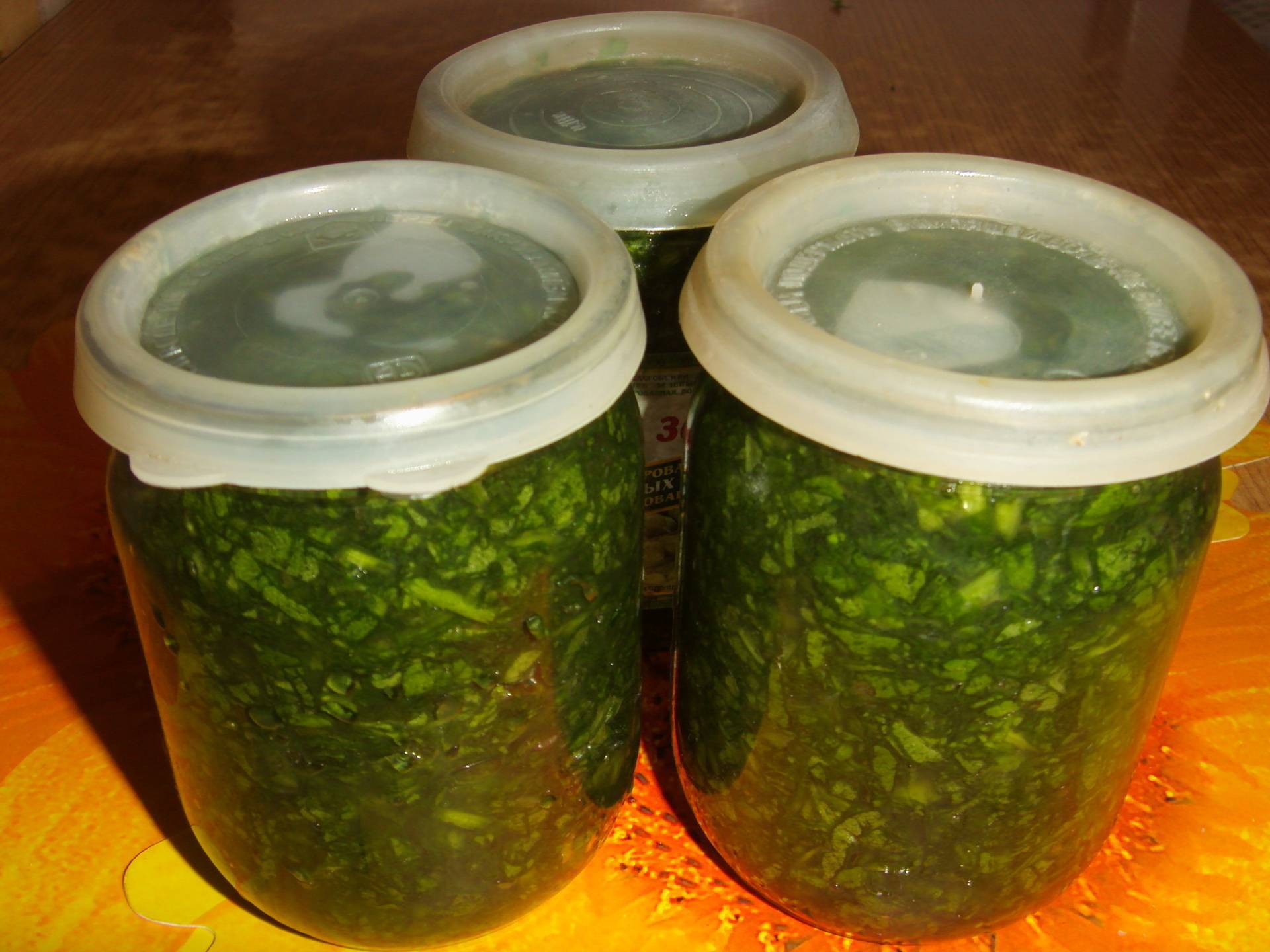 Приправа из петрушки на зиму - пошаговые рецепты заготовок в домашних условиях с фото