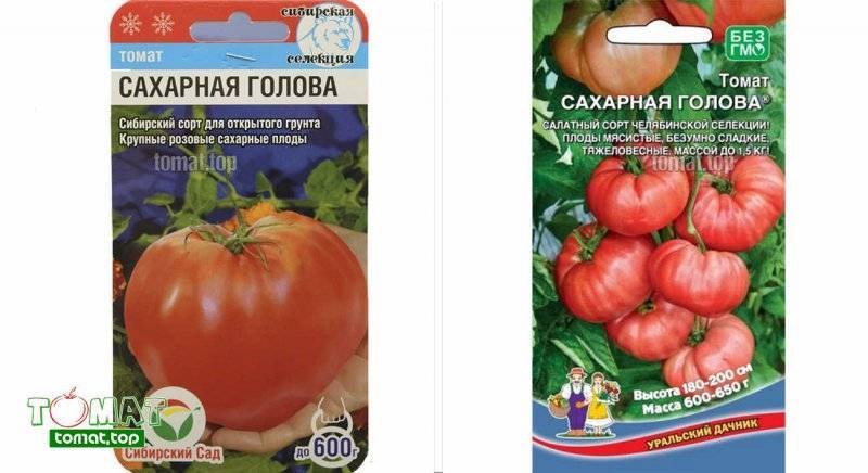 ᐉ томаты "пудовичок сахарный": описание и характеристики сорта, уход за помидорами и фото - orensad198.ru