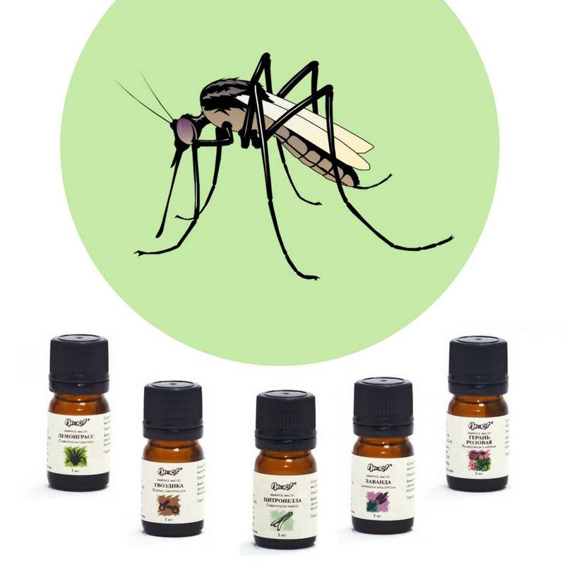 Эфирные масла против комаров: какое выбрать и как применять — domovod.guru