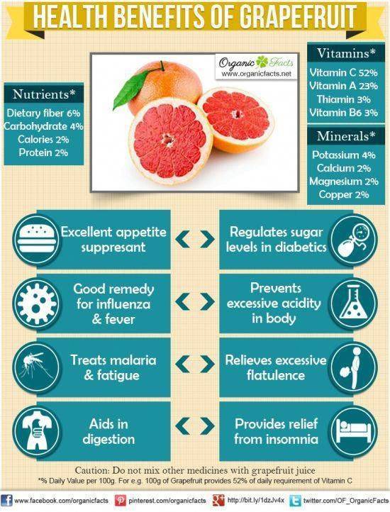 Польза и вред грейпфрута для женщин и мужчин