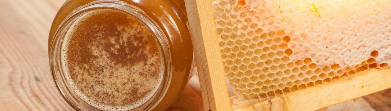 Почему засахаривается мед: процесс и срок кристаллизации