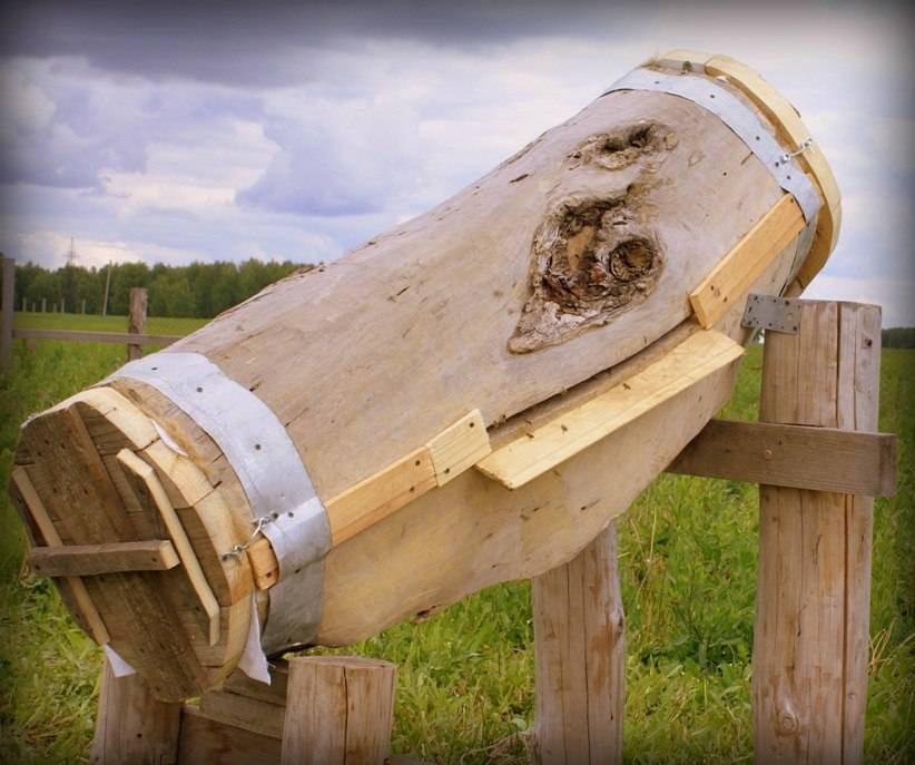 Колодное пчеловодство: технологии, преимущества, эффективность