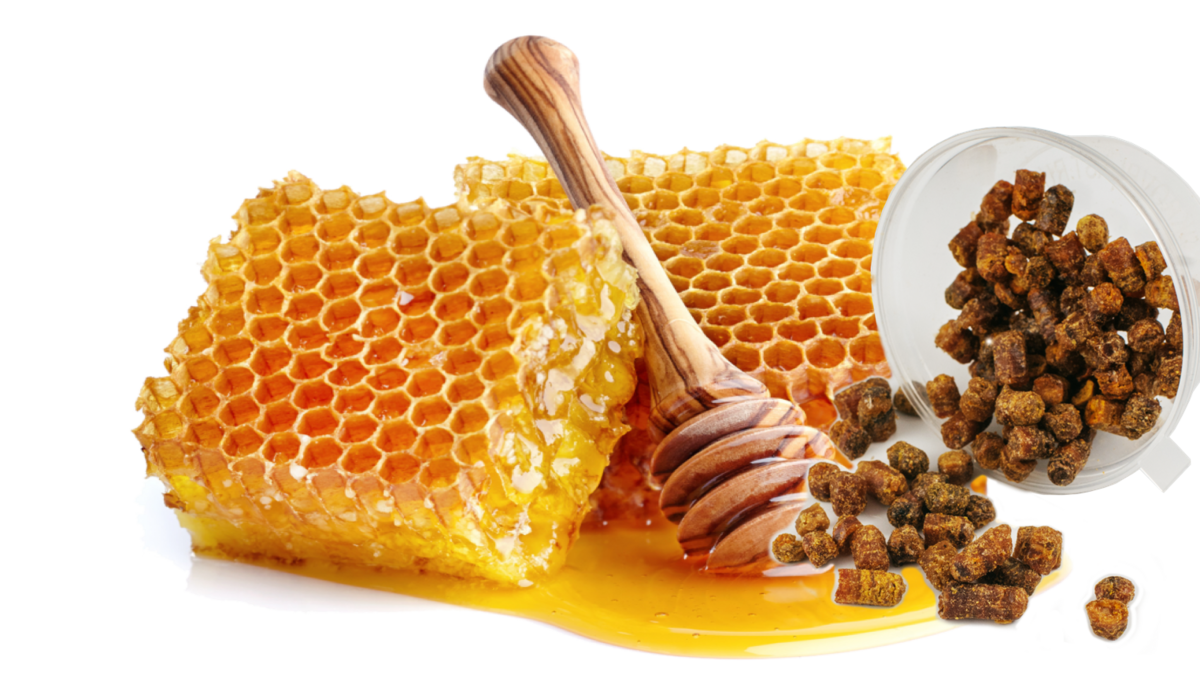 Польза и вред перги с медом