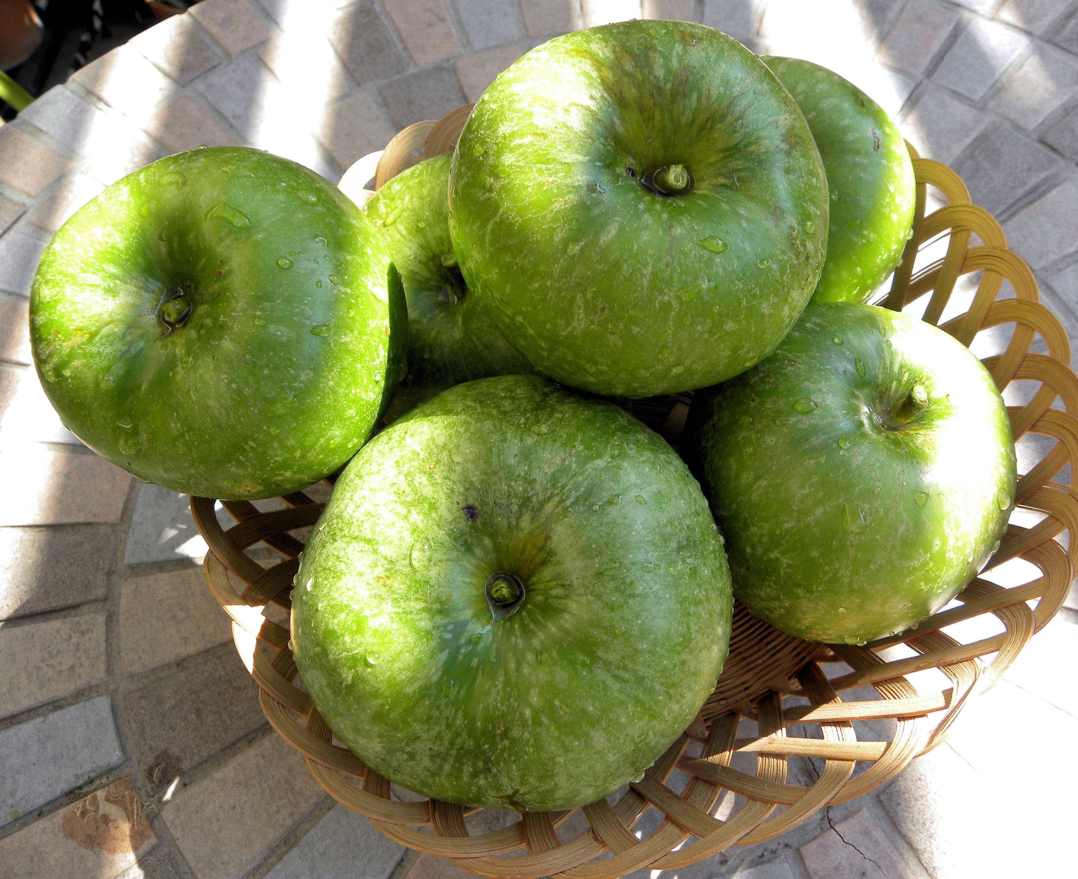 Яблоня гренни смит: особенности сорта и ухода