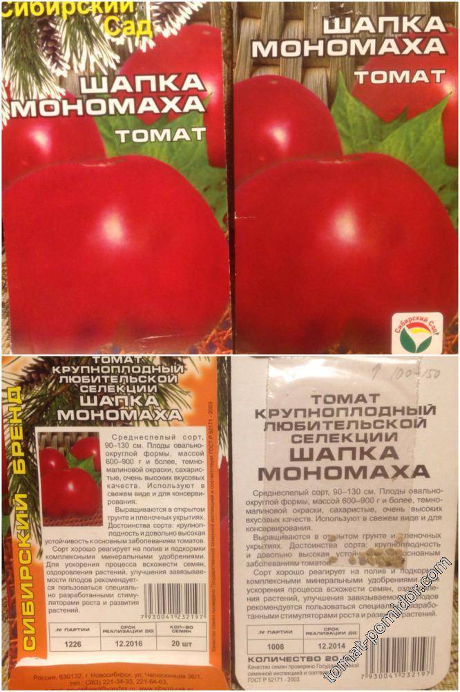 Томат шапка мономаха: описание и характеристика сорта, особенности выращивания, отзывы тех, кто сажал, фото