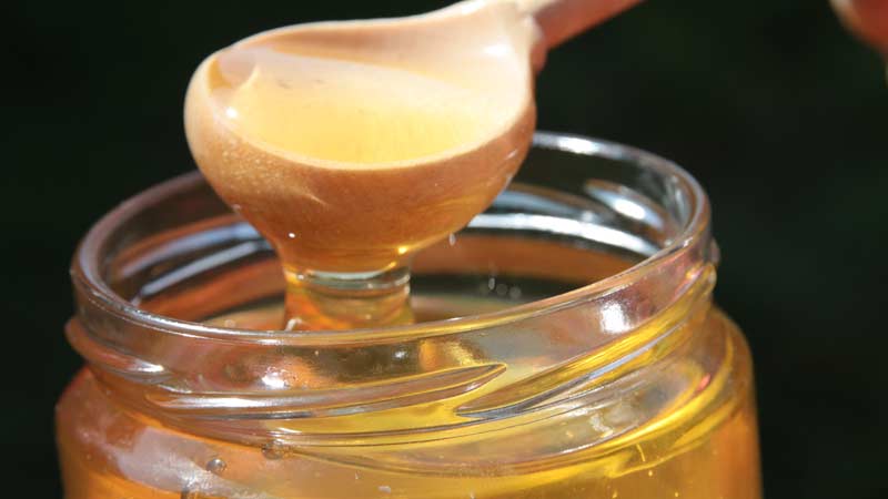 Мед из акации и черноклена. полезные свойства и противопоказания чернокленового меда. редкий и невероятно полезный