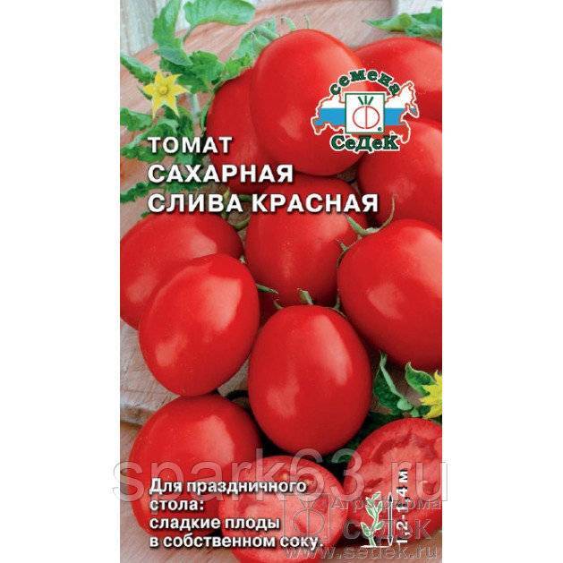 Характеристика томата сахарная слива малиновая и выращивание сорта