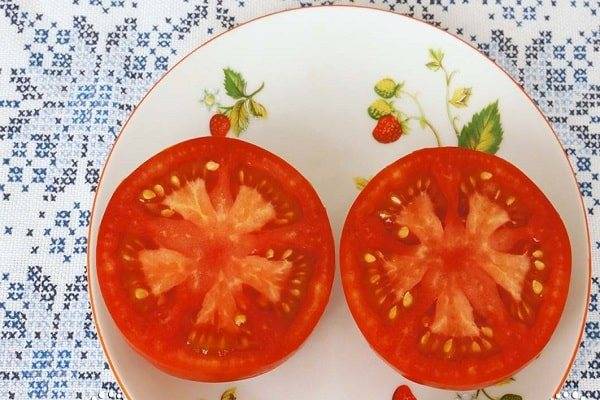Томат "стреза": описание и характеристики гибридного сорта помидор русский фермер