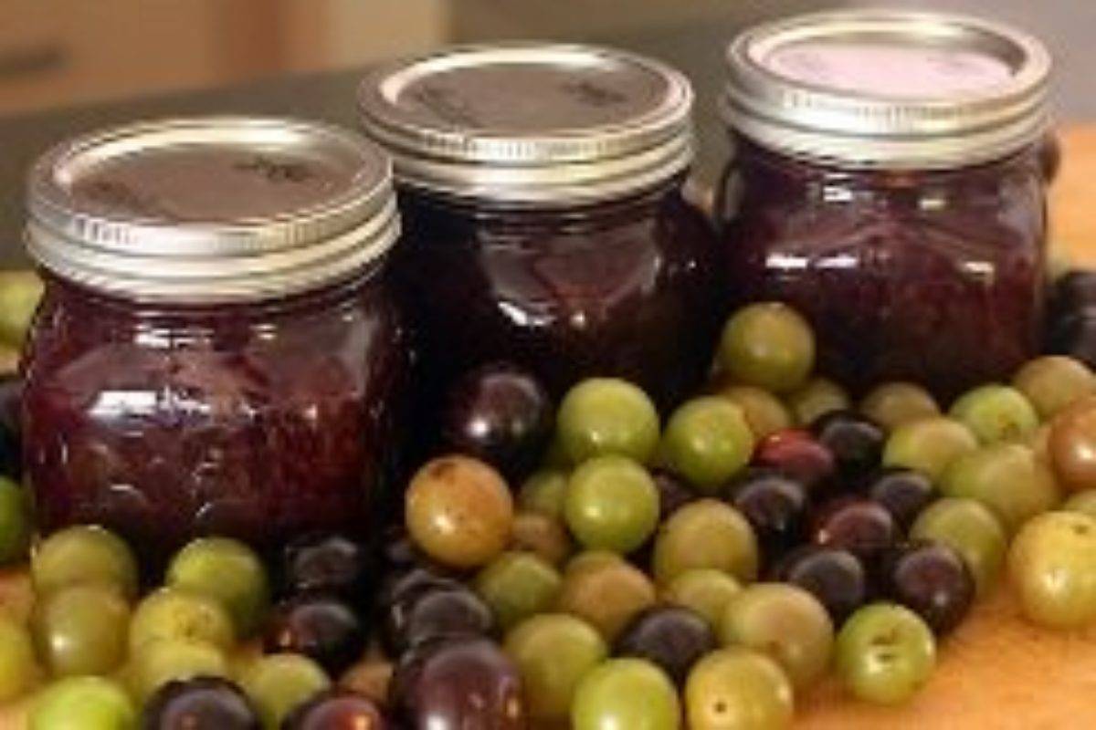 Пошаговые рецепты джема и конфитюра из винограда с косточками и без, в мультиварке и на плите