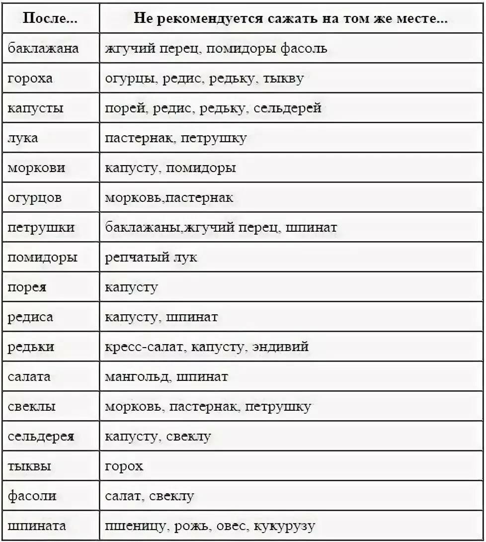 Что можно сажать после салата на следующий год