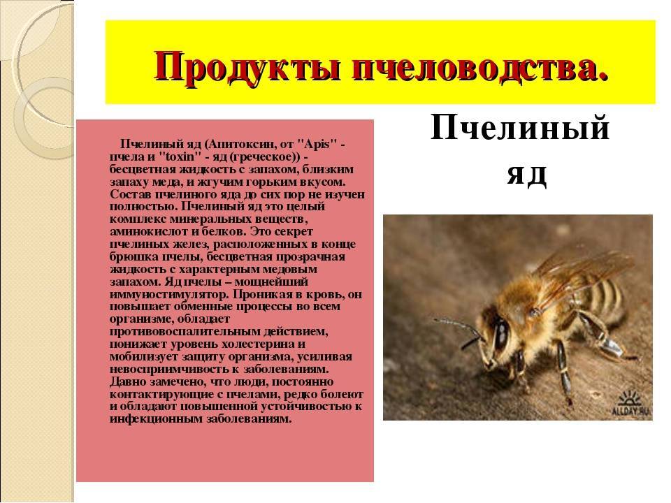 Инсектициды — не токсичные для пчел, но токсичные для вредителей  |  аппяпм