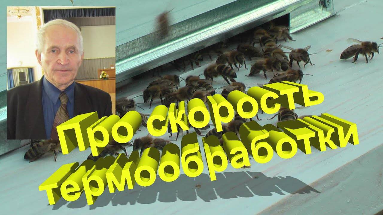 Кашковский: лекции по пчеловодству - смотреть видео, читать