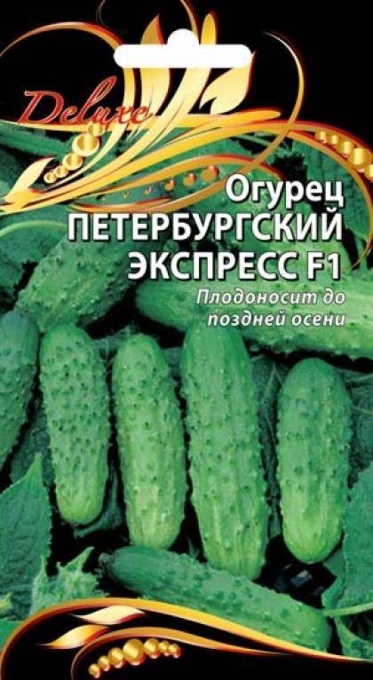Огурец сибирский экспресс f1: отзывы, описание сорта, характеристики и особенности