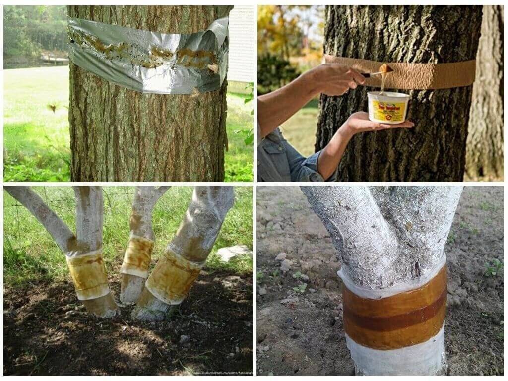 Ловчий пояс для деревьев: инструкция по изготовлению. как сделать ловчий пояс для деревьев своими руками
