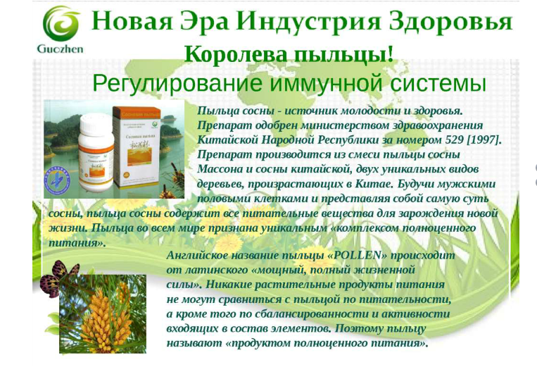 Сосновая пыльца: полезные свойства и применение в народной медицине, противопоказания