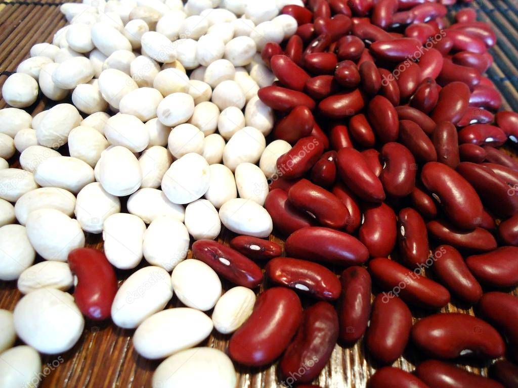 Красная и белая фасоль: в чем разница, какая лучше и полезнее, сочетание