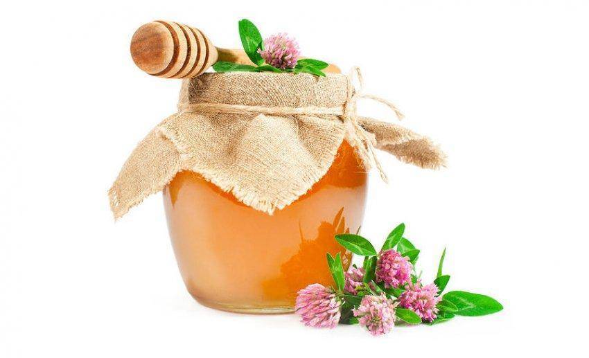 Одуванчиковый мед: полезные свойства, противопоказания, рецепты