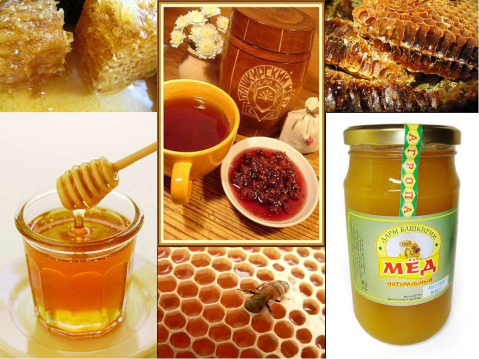 Полезные свойства померанцевого меда