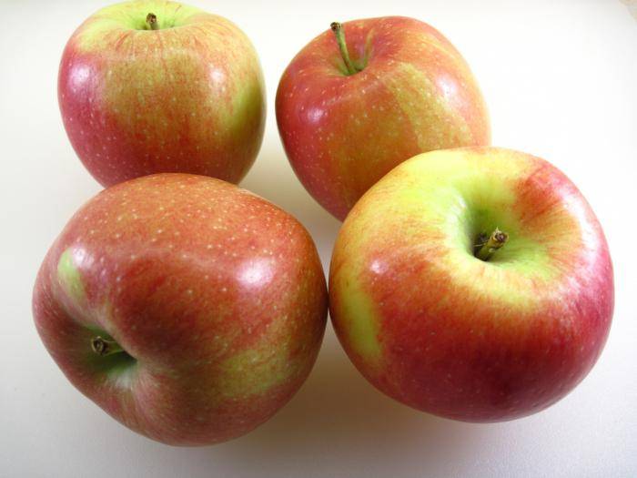 Сорт яблони белорусское сладкое – описание, фото