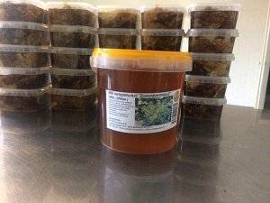 Диморфантовый мед - свойства и польза