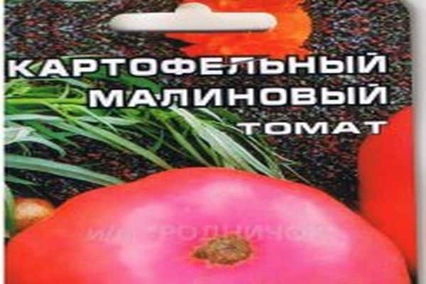 Описание томата картофельный малиновый и агротехника выращивания