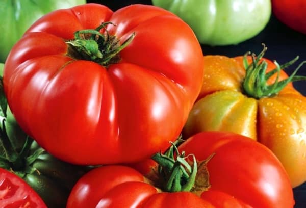 Качественный гибрид с гигантскими плодами — помидоры красный буйвол f1: описание и характеристика