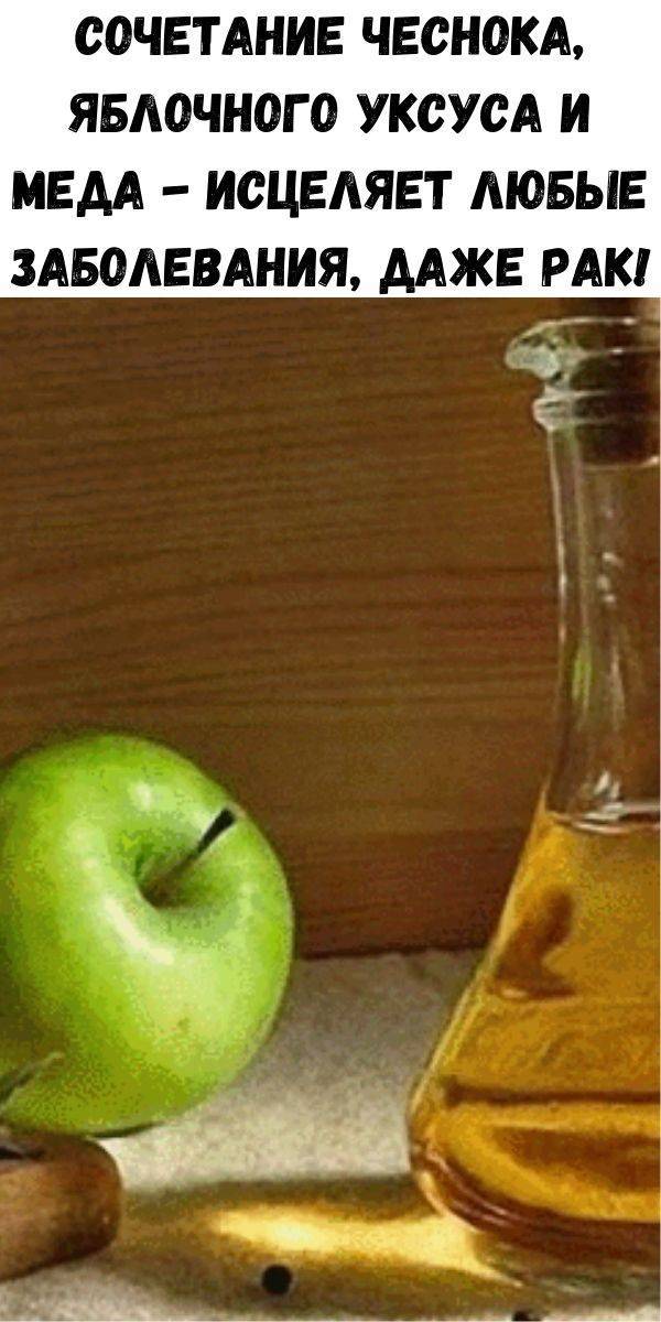 Мед и яблочный уксус: универсальное целебное средство
