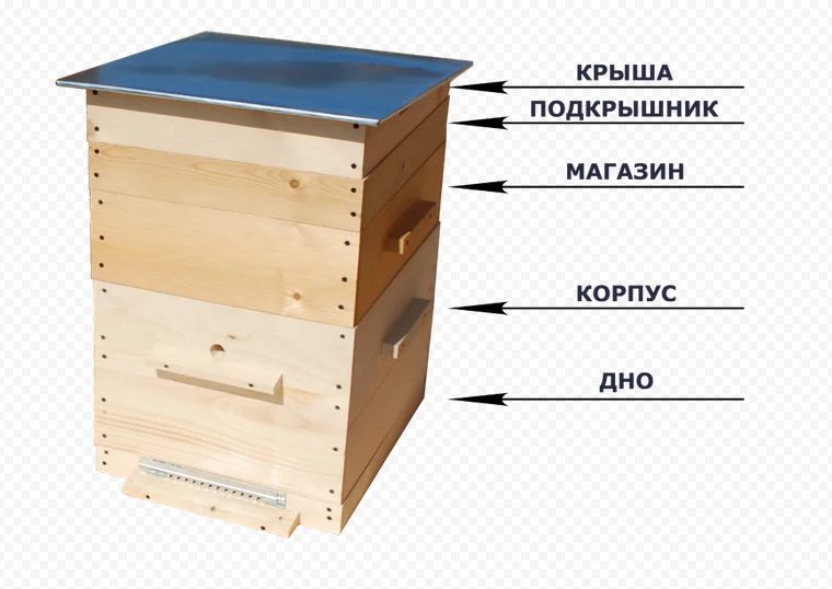 Основные правила и методы двухматочного содержания пчел в ульях