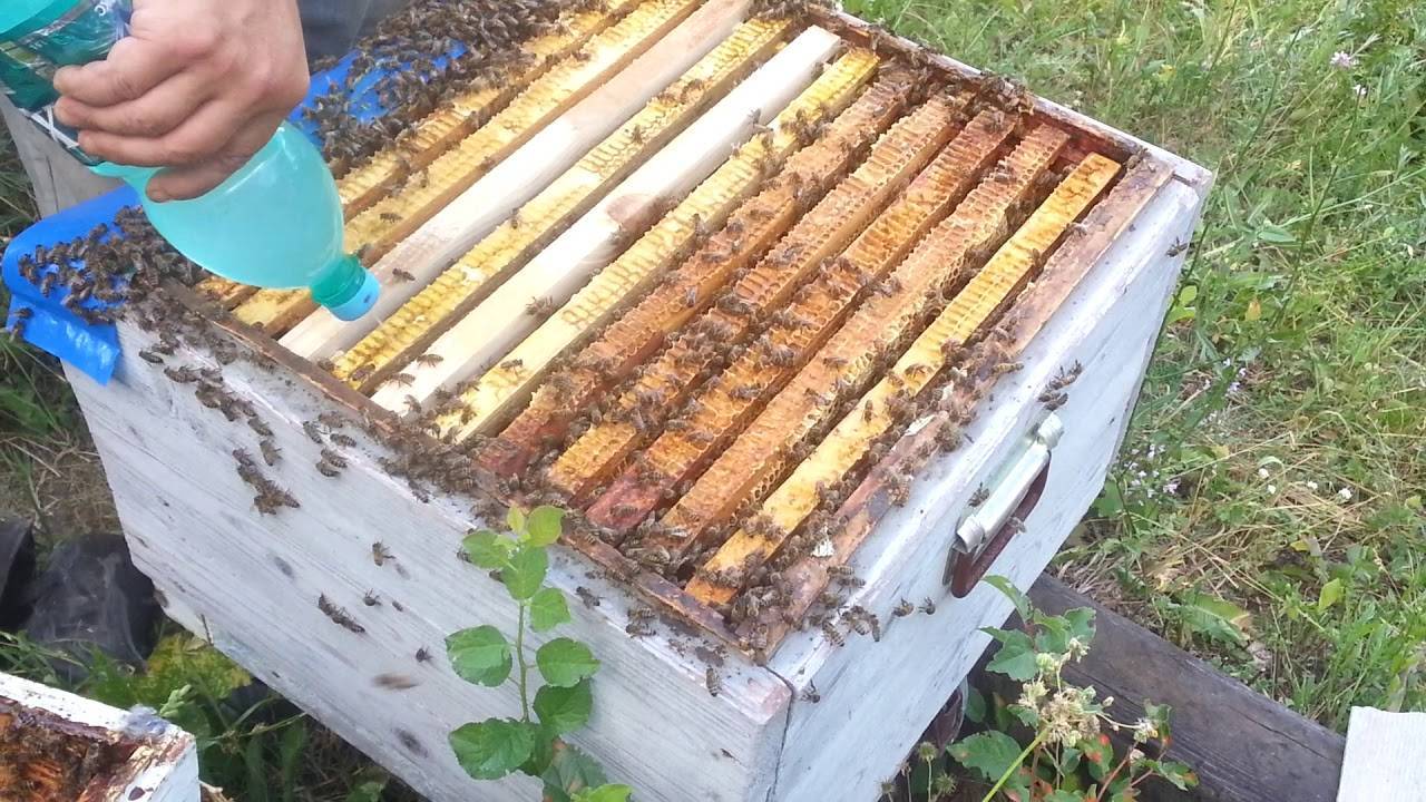 Кислота щавелевая (300 гр) | магазин пчеловодства "пчеловод ком"